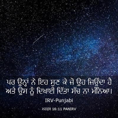 Picture 03 - ਮਰਕੁਸ 16:11 PANIRV - ਪਰ ਉਨ੍ਹਾਂ ਨੇ ਇਹ ਸੁਣ - Bible Verse Picture