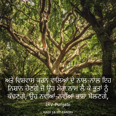 Picture 03 - ਮਰਕੁਸ 16:17 PANIRV - ਅਤੇ ਵਿਸ਼ਵਾਸ ਕਰਨ - Bible Verse Picture