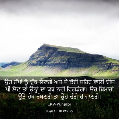 Picture 03 - ਮਰਕੁਸ 16:18 PANIRV - ਉਹ ਸੱਪਾਂ ਨੂੰ ਚੁੱਕ - Bible Verse Picture