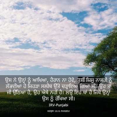 Picture 03 - ਮਰਕੁਸ 16:6 PANIRV - ਉਸ ਨੇ ਉਨ੍ਹਾਂ ਨੂੰ - Bible Verse Picture