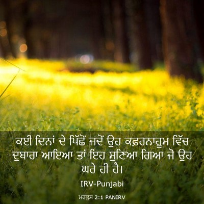 Picture 03 - ਮਰਕੁਸ 2:1 PANIRV - ਕਈ ਦਿਨਾਂ ਦੇ ਪਿੱਛੋਂ - Bible Verse Picture