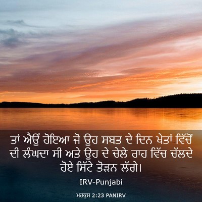 Picture 03 - ਮਰਕੁਸ 2:23 PANIRV - ਤਾਂ ਐਉਂ ਹੋਇਆ ਜੋ ਉਹ - Bible Verse Picture