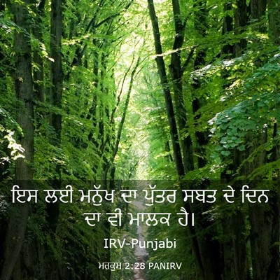 Picture 03 - ਮਰਕੁਸ 2:28 PANIRV - ਇਸ ਲਈ ਮਨੁੱਖ ਦਾ - Bible Verse Picture