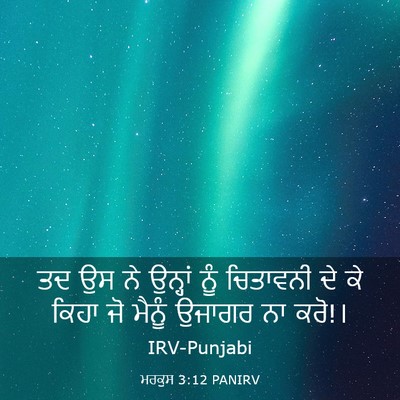 Picture 03 - ਮਰਕੁਸ 3:12 PANIRV - ਤਦ ਉਸ ਨੇ ਉਨ੍ਹਾਂ ਨੂੰ - Bible Verse Picture