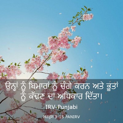 Picture 03 - ਮਰਕੁਸ 3:15 PANIRV - ਉਨ੍ਹਾਂ ਨੂੰ - Bible Verse Picture