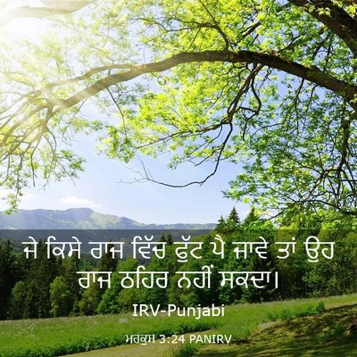 Picture 03 - ਮਰਕੁਸ 3:24 PANIRV - ਜੇ ਕਿਸੇ ਰਾਜ ਵਿੱਚ - Bible Verse Picture
