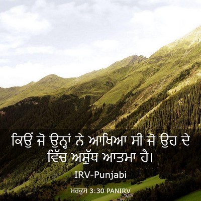 Picture 03 - ਮਰਕੁਸ 3:30 PANIRV - ਕਿਉਂ ਜੋ ਉਨ੍ਹਾਂ ਨੇ - Bible Verse Picture