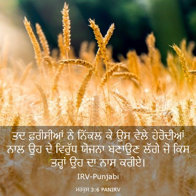 Picture 03 - ਮਰਕੁਸ 3:6 PANIRV - ਤਦ ਫ਼ਰੀਸੀਆਂ ਨੇ - Bible Verse Picture