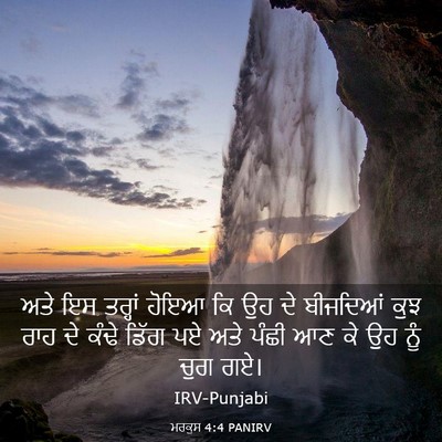 Picture 03 - ਮਰਕੁਸ 4:4 PANIRV - ਅਤੇ ਇਸ ਤਰ੍ਹਾਂ ਹੋਇਆ - Bible Verse Picture