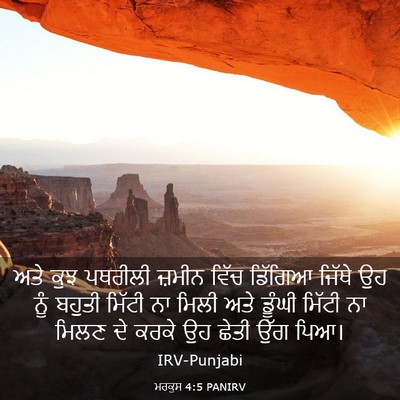 Picture 03 - ਮਰਕੁਸ 4:5 PANIRV - ਅਤੇ ਕੁਝ ਪਥਰੀਲੀ - Bible Verse Picture