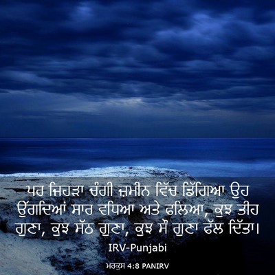 Picture 03 - ਮਰਕੁਸ 4:8 PANIRV - ਪਰ ਜਿਹੜਾ ਚੰਗੀ - Bible Verse Picture