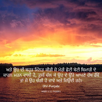 Picture 03 - ਮਰਕੁਸ 5:23 PANIRV - ਅਤੇ ਉਹ ਦੀ ਬਹੁਤ - Bible Verse Picture