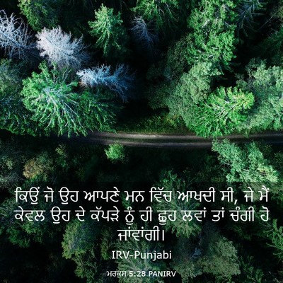 Picture 03 - ਮਰਕੁਸ 5:28 PANIRV - ਕਿਉਂ ਜੋ ਉਹ ਆਪਣੇ ਮਨ - Bible Verse Picture