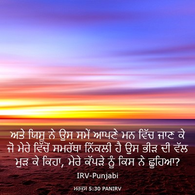 Picture 03 - ਮਰਕੁਸ 5:30 PANIRV - ਅਤੇ ਯਿਸੂ ਨੇ ਉਸ ਸਮੇਂ - Bible Verse Picture