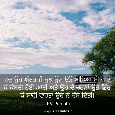 Picture 03 - ਮਰਕੁਸ 5:33 PANIRV - ਤਦ ਉਹ ਔਰਤ ਜੋ ਕੁਝ ਉਸ - Bible Verse Picture
