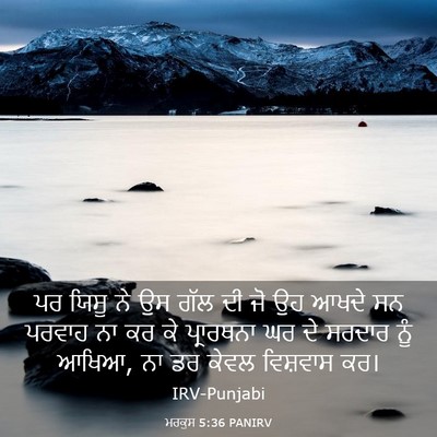 Picture 03 - ਮਰਕੁਸ 5:36 PANIRV - ਪਰ ਯਿਸੂ ਨੇ ਉਸ ਗੱਲ - Bible Verse Picture