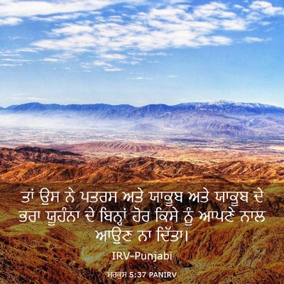 Picture 03 - ਮਰਕੁਸ 5:37 PANIRV - ਤਾਂ ਉਸ ਨੇ ਪਤਰਸ ਅਤੇ - Bible Verse Picture