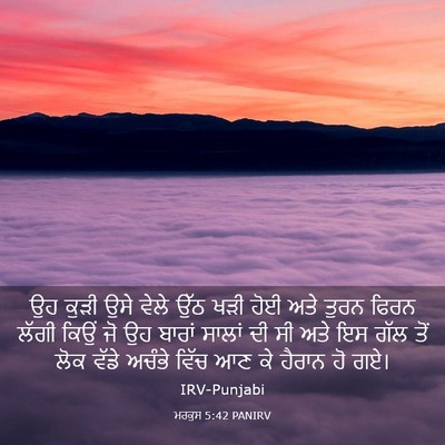 Picture 03 - ਮਰਕੁਸ 5:42 PANIRV - ਉਹ ਕੁੜੀ ਉਸੇ ਵੇਲੇ - Bible Verse Picture