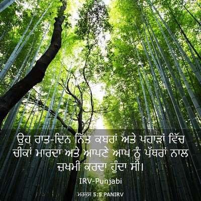 Picture 03 - ਮਰਕੁਸ 5:5 PANIRV - ਉਹ ਰਾਤ-ਦਿਨ ਨਿੱਤ - Bible Verse Picture