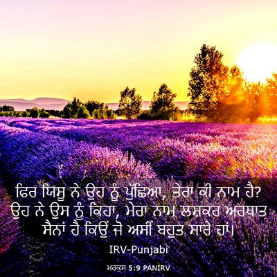 Picture 03 - ਮਰਕੁਸ 5:9 PANIRV - ਫਿਰ ਯਿਸੂ ਨੇ ਉਹ ਨੂੰ - Bible Verse Picture