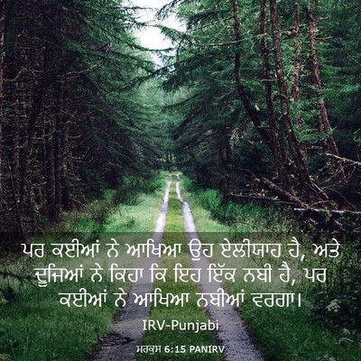 Picture 03 - ਮਰਕੁਸ 6:15 PANIRV - ਪਰ ਕਈਆਂ ਨੇ ਆਖਿਆ ਉਹ - Bible Verse Picture