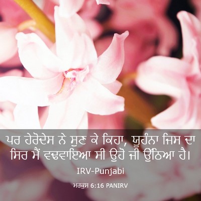 Picture 03 - ਮਰਕੁਸ 6:16 PANIRV - ਪਰ ਹੇਰੋਦੇਸ ਨੇ ਸੁਣ - Bible Verse Picture