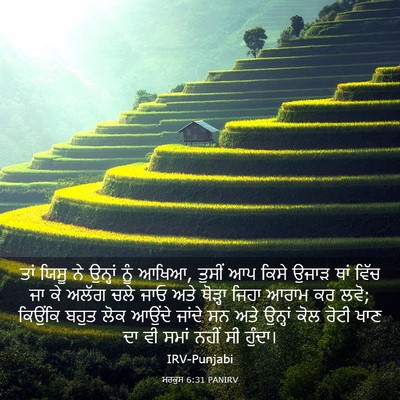 Picture 03 - ਮਰਕੁਸ 6:31 PANIRV - ਤਾਂ ਯਿਸੂ ਨੇ ਉਨ੍ਹਾਂ - Bible Verse Picture