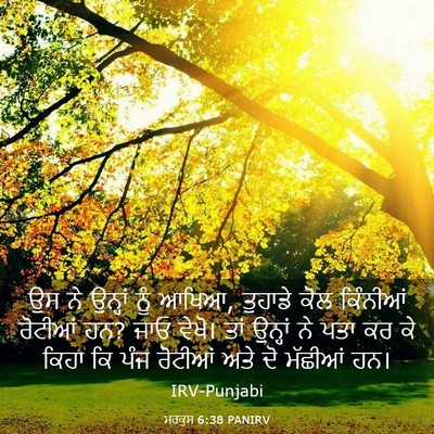 Picture 03 - ਮਰਕੁਸ 6:38 PANIRV - ਉਸ ਨੇ ਉਨ੍ਹਾਂ ਨੂੰ - Bible Verse Picture