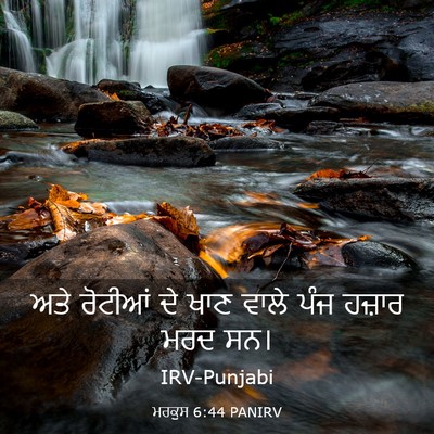Picture 03 - ਮਰਕੁਸ 6:44 PANIRV - ਅਤੇ ਰੋਟੀਆਂ ਦੇ ਖਾਣ - Bible Verse Picture