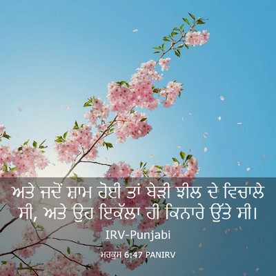 Picture 03 - ਮਰਕੁਸ 6:47 PANIRV - ਅਤੇ ਜਦੋਂ ਸ਼ਾਮ ਹੋਈ - Bible Verse Picture