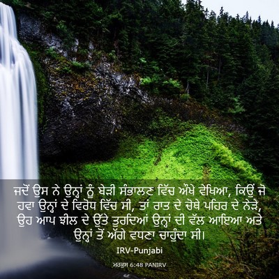Picture 03 - ਮਰਕੁਸ 6:48 PANIRV - ਜਦੋਂ ਉਸ ਨੇ ਉਨ੍ਹਾਂ - Bible Verse Picture