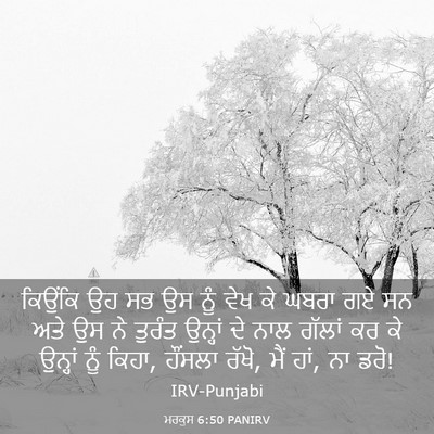 Picture 03 - ਮਰਕੁਸ 6:50 PANIRV - ਕਿਉਂਕਿ ਉਹ ਸਭ ਉਸ ਨੂੰ - Bible Verse Picture