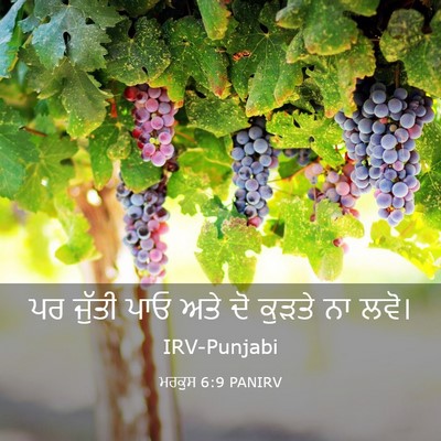 Picture 03 - ਮਰਕੁਸ 6:9 PANIRV - ਪਰ ਜੁੱਤੀ ਪਾਓ ਅਤੇ ਦੋ - Bible Verse Picture