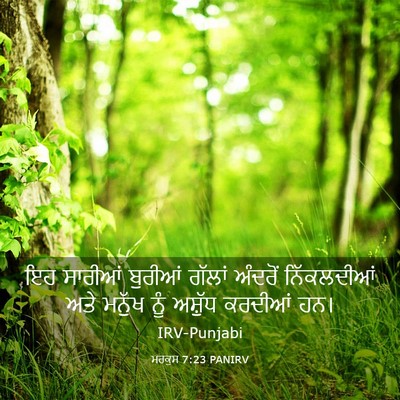 Picture 03 - ਮਰਕੁਸ 7:23 PANIRV - ਇਹ ਸਾਰੀਆਂ ਬੁਰੀਆਂ - Bible Verse Picture