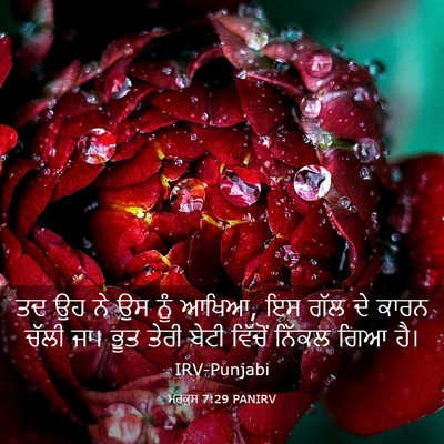 Picture 03 - ਮਰਕੁਸ 7:29 PANIRV - ਤਦ ਉਹ ਨੇ ਉਸ ਨੂੰ - Bible Verse Picture
