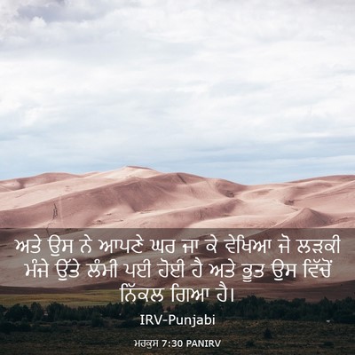 Picture 03 - ਮਰਕੁਸ 7:30 PANIRV - ਅਤੇ ਉਸ ਨੇ ਆਪਣੇ ਘਰ - Bible Verse Picture