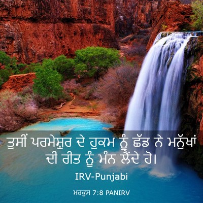 Picture 03 - ਮਰਕੁਸ 7:8 PANIRV - ਤੁਸੀਂ ਪਰਮੇਸ਼ੁਰ ਦੇ - Bible Verse Picture