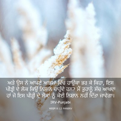 Picture 03 - ਮਰਕੁਸ 8:12 PANIRV - ਅਤੇ ਉਸ ਨੇ ਆਪਣੇ ਆਤਮਾ - Bible Verse Picture