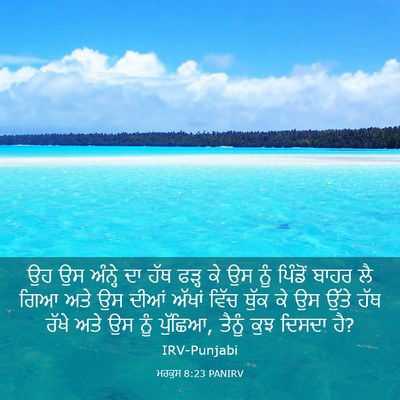 Picture 03 - ਮਰਕੁਸ 8:23 PANIRV - ਉਹ ਉਸ ਅੰਨ੍ਹੇ ਦਾ ਹੱਥ - Bible Verse Picture