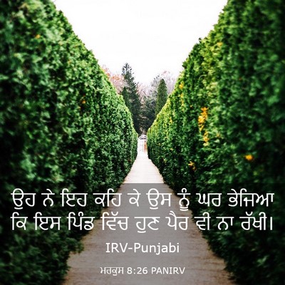 Picture 03 - ਮਰਕੁਸ 8:26 PANIRV - ਉਹ ਨੇ ਇਹ ਕਹਿ ਕੇ ਉਸ - Bible Verse Picture