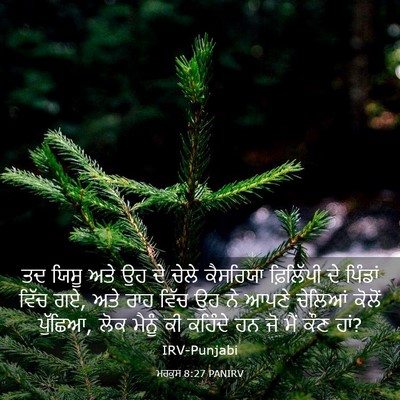 Picture 03 - ਮਰਕੁਸ 8:27 PANIRV - ਤਦ ਯਿਸੂ ਅਤੇ ਉਹ ਦੇ - Bible Verse Picture