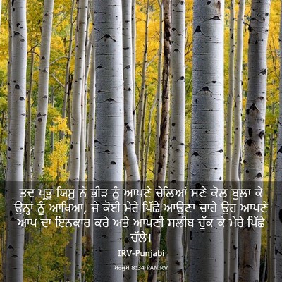 Picture 03 - ਮਰਕੁਸ 8:34 PANIRV - ਤਦ ਪ੍ਰਭੂ ਯਿਸੂ ਨੇ - Bible Verse Picture