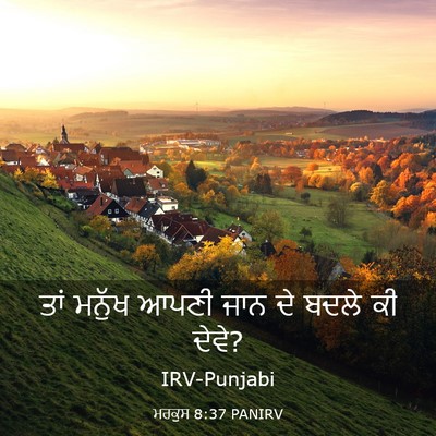 Picture 03 - ਮਰਕੁਸ 8:37 PANIRV - ਤਾਂ ਮਨੁੱਖ ਆਪਣੀ ਜਾਨ - Bible Verse Picture