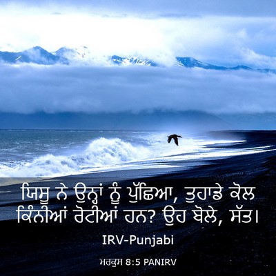 Picture 03 - ਮਰਕੁਸ 8:5 PANIRV - ਯਿਸੂ ਨੇ ਉਨ੍ਹਾਂ ਨੂੰ - Bible Verse Picture