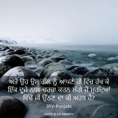 Picture 03 - ਮਰਕੁਸ 9:10 PANIRV - ਅਤੇ ਉਹ ਉਸ ਗੱਲ ਨੂੰ - Bible Verse Picture