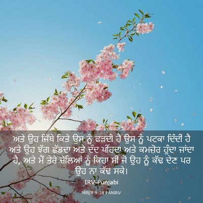 Picture 03 - ਮਰਕੁਸ 9:18 PANIRV - ਅਤੇ ਉਹ ਜਿੱਥੇ ਕਿਤੇ - Bible Verse Picture