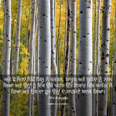 Picture 03 - ਮਰਕੁਸ 9:2 PANIRV - ਅਤੇ ਛੇ ਦਿਨਾਂ - Bible Verse Picture