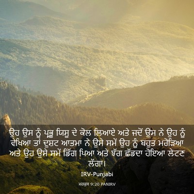 Picture 03 - ਮਰਕੁਸ 9:20 PANIRV - ਉਹ ਉਸ ਨੂੰ ਪ੍ਰਭੂ - Bible Verse Picture
