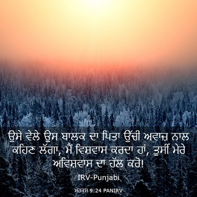Picture 03 - ਮਰਕੁਸ 9:24 PANIRV - ਉਸੇ ਵੇਲੇ ਉਸ ਬਾਲਕ ਦਾ - Bible Verse Picture