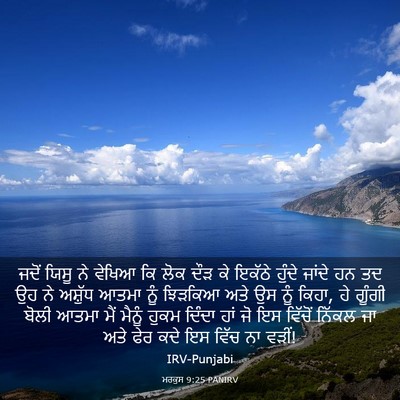 Picture 03 - ਮਰਕੁਸ 9:25 PANIRV - ਜਦੋਂ ਯਿਸੂ ਨੇ ਵੇਖਿਆ - Bible Verse Picture